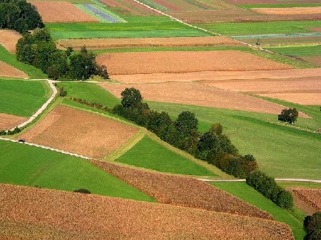 910 Feldwege südlich Iphofen