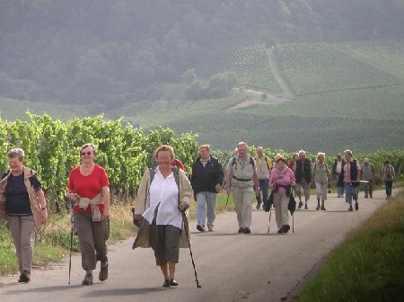 904 Auf dem Weg nach Rödelsee