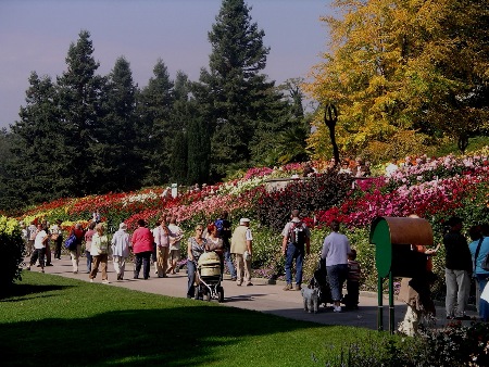 Blumenschauf auf Mainau