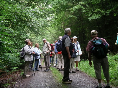 "Wegsuche" auf dem Gangolfberg