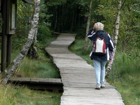 Bohlensteg im "Schwarzen Mohr"