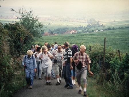 101  Oberhalb St. Martin unter der Kropsburg  zum Einstieg in die Hardt, der Rand des  Pfälzer Waldes