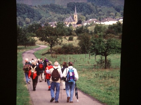 401  Von Ockfen über den Bismarkturm nach Schoden