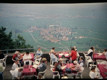 103  Auf der Rietburg hoch über Rhodt