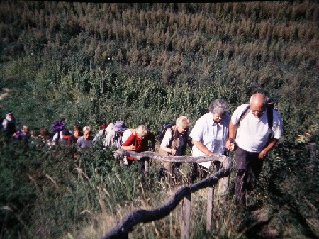 507  Anstieg in den Weinberg-Trassen