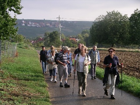 703 In Richtung Süden "Auf dem Jakobsweg" bis nach Göllheim, im Hintergrund Blick auf Zell