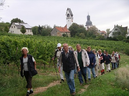 715  Unterhalb von Zell in Richtung Westen