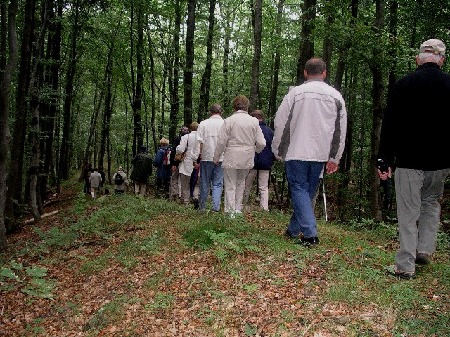 718  Rundgang mit Führer auf dem Donnersberg, hier Marsch auf dem Keltenwall