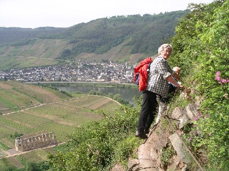 814 Die "schwierigste" Stelle des Klettersteig: Feste Tritte mit Seilsicherung zum festhalten über eine Länge von drei Meter. Im Hintergrund Bremm, unten links die Klosterruine Stuben am anderen Moselufer