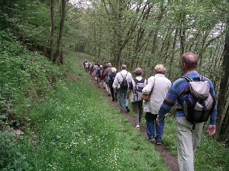 824 Hoch über der Mosel zwischen Cochem und Klotten