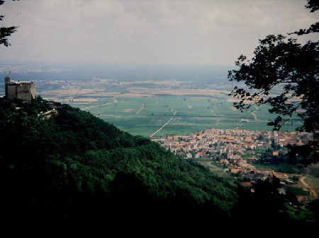 Blick auf das Hambacher Schloß und Diedesfeld