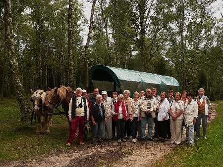 Mit der Pferdekutusche in die Südheide