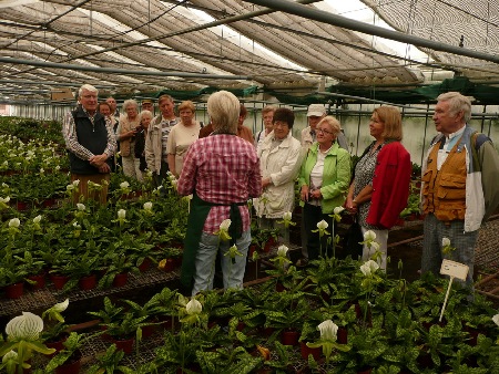 Führung in der Orchideenzucht